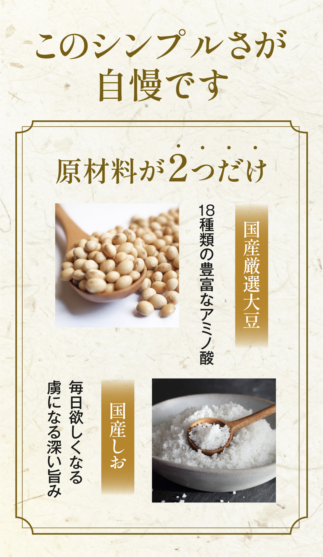 このシンプルさが自慢です